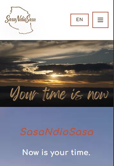 SasaNdioSasa Website